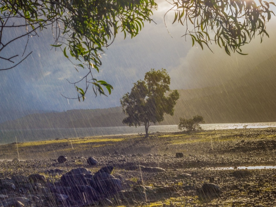 मानसून